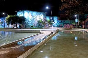 een plas water met eenden in de nacht bij !Hermosa Casa en el Mejor lugar de Medellín! in Envigado