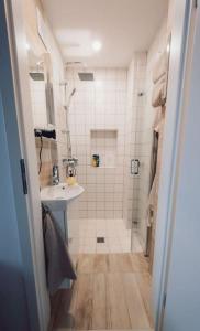 a bathroom with a shower and a sink and a toilet at Suite 13 Loft mit Terrasse in Teublitz