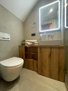 a bathroom with a toilet and a sink at UnderStreet studio with private parking in Košice