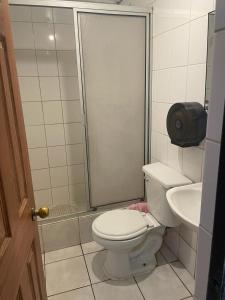 ein Bad mit einer Dusche, einem WC und einem Waschbecken in der Unterkunft Residencial Don Santiago in Talca