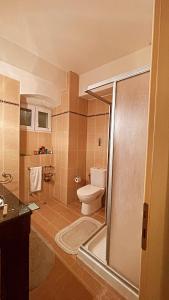 een badkamer met een douche en een toilet. bij Luxury Villa Prada in Skriperón