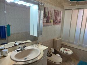 La salle de bains est pourvue d'un lavabo, de toilettes et d'un miroir. dans l'établissement La Casita de Omar en el corazón de Anaga y La Laguna, à Las Mercedes