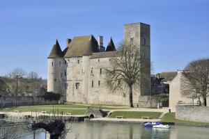 a castle with a lake in front of it at Grand appart 6 pers Cœur de Nemours in Nemours +2 photos