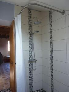 a shower in a bathroom with a tile wall at Le Cercotin in Moroges