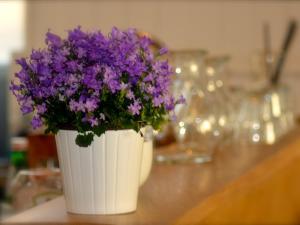 un jarrón blanco lleno de flores púrpuras en una mesa en The Courie Inn en Killin