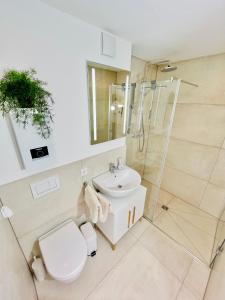 a bathroom with a toilet and a sink and a shower at Apartment LEO in Berghausen