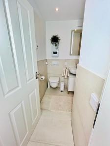 een badkamer met een toilet en een wastafel bij Apartment LEO in Berghausen