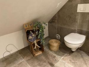 ein Badezimmer mit einem weißen WC in der Unterkunft Als AS DE COEUR La maison aux mille et un coeurs in Neuve-Église + 18 Fotos