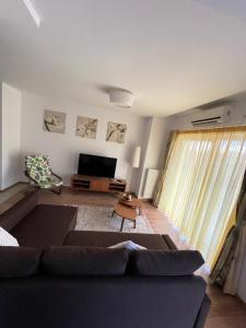 uma sala de estar com um sofá e uma televisão em EliteVista by Cristian em Timisoara