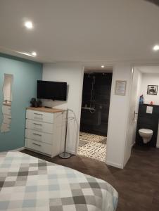 um quarto com uma televisão numa cómoda e uma casa de banho em Le Ptit Lou em Kaysersberg