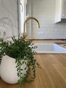 Imagen de la galería de The Traveller`s house con vistas a PLAYA LA CALETA, en Cádiz