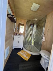 a bathroom with a shower and a toilet and a rug at Glamping Dome 1 - 10 minutes from Kings Canyon in Dunlap