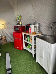 a kitchen with a sink and green carpet at Glamping Dome 1 - 10 minutes from Kings Canyon in Dunlap