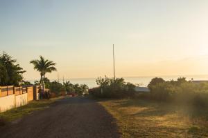 an empty road with palm trees and the ocean at Dawn Beach Estate - 3 bedroom Apartment Villa villa in Dawn Beach