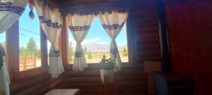 a window with a potted plant in a room at Cabañas Angualasto in Uspallata