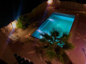 einen Blick über einen Pool mit einer Palme in der Unterkunft Dar Zaouia , El Hanchane , Essaouira , Morocco 