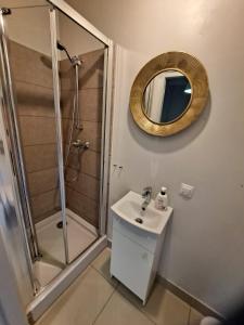 a bathroom with a shower and a sink and a mirror at Mia Mia House in Katowice