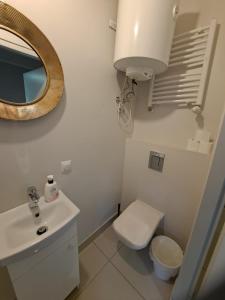 W łazience znajduje się umywalka, toaleta i lustro. w obiekcie Mia Mia House w mieście Katowice
