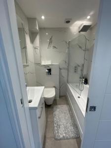 a bathroom with a toilet and a sink and a shower at Stunning Flat - Close Kings Cross - Free Wi-Fi in London