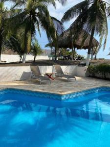Iztapa的住宿－Casa de playa, en isla, frente al mar y canal，两把椅子,旁边是一座棕榈树游泳池