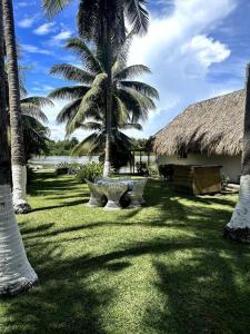 une cour avec une table et des palmiers ainsi qu'un bâtiment dans l'établissement Casa de playa, en isla, frente al mar y canal, à Iztapa