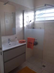 een badkamer met een wastafel en een douche met een spiegel bij Kaz a Man Fey in Petit-Canal