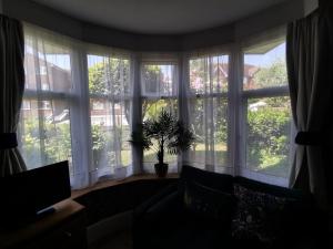 a living room with large windows and a potted plant at Woodside House in Bexhill