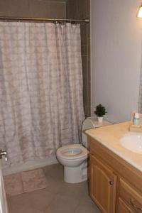 a bathroom with a toilet and a shower curtain at Cozy & affordable, Spacious Condo by the lake in Incline Village