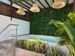 a swimming pool in a building with plants at Hotel Paris in Valledupar