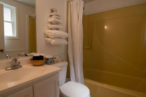 y baño con aseo, lavabo y ducha. en The Gull Oceanfront Motel & Cottages en Old Orchard Beach