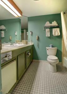 a bathroom with a toilet and a sink at Senator Inn & Spa in Augusta