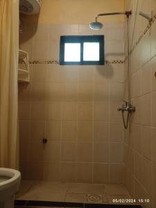 a bathroom with a shower with a toilet and a window at Casa en Bella Vista il fienile para 2 Personas in Bella Vista