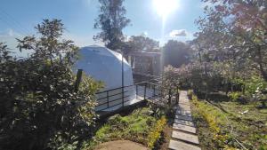 a path leading up to a building in a garden at Luz de Luna Glamping in Anolaima