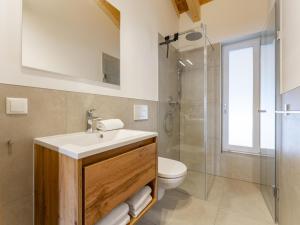 uma casa de banho com um lavatório, um WC e um chuveiro em Grebenzen Lodge Pabstin 36B em Sankt Lambrecht