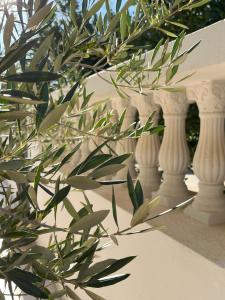 una fila di colonne bianche dietro una pianta di Maison d'hôtes DAR DRISS a Matmata
