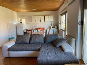 Il comprend un salon avec un canapé et une cuisine. dans l'établissement Apartments with a parking space Crikvenica - 22214, à Crikvenica