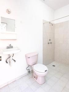 a bathroom with a pink toilet and a sink at Casa Huerta in Ciudad Fernández