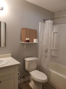 a bathroom with a toilet and a sink and a shower at Coquihalla Motel in Hope