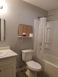 a bathroom with a toilet and a sink and a shower at Coquihalla Motel in Hope +11 photos