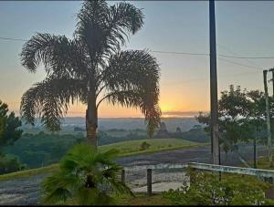 eine Palme auf einem Hügel mit Sonnenuntergang im Hintergrund in der Unterkunft Espaço Festas Eventos Corporativos in Balsa Nova