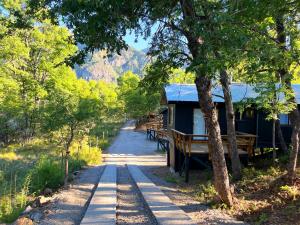 a house on a road with trees and a trail at Cabañas Kalinaw in Las Trancas