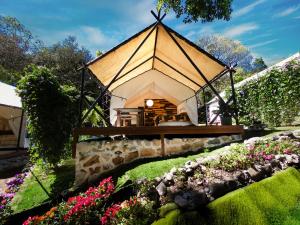 une petite tente dans un jardin fleuri dans l'établissement LUXURY ECO, à Boquete