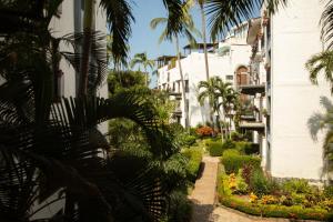 een binnenplaats van een gebouw met palmbomen en planten bij The Best of Marbella in Puerto Vallarta