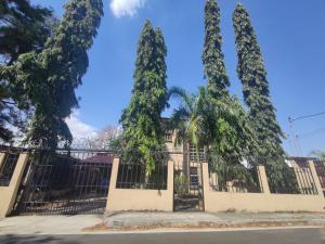 een hek met vier bomen voor een gebouw bij Hospedaje Francis en Panamá in Panama-Stad