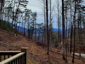 a view of a forest with trees and a road at Lil Cabin in the Cove in Sevierville