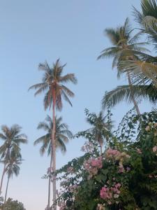 Zahrada ubytování ํYada Resort Koh Yao Noi