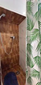 a bathroom with a shower with a green leaf wallpaper at Cosy Mouraria Rooms in Lisbon