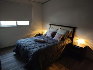 a bedroom with a bed with two lamps and a window at Torre del Limay in Neuquén