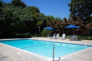 Πισίνα στο ή κοντά στο Geometric Loft: renovated, hip, pets, pool/spa