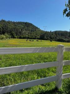 una cerca blanca frente a un campo con vacas en Rancho.JC, en Colbún